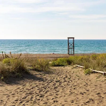 Murex * Castagneto Carducci