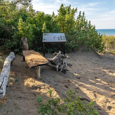 Murex * Castagneto Carducci