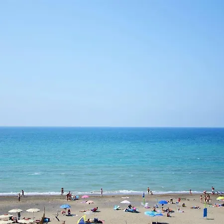 Murex * Castagneto Carducci